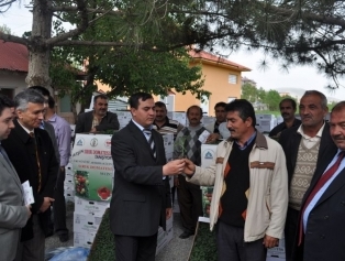 Afşin Sırık Domatesle Tanıştı Galeri