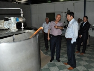 Altınözü'ndeki Zeytin İşleme Tesisi Yerinde İncelendi Galeri